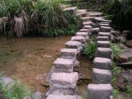 DSCN0219